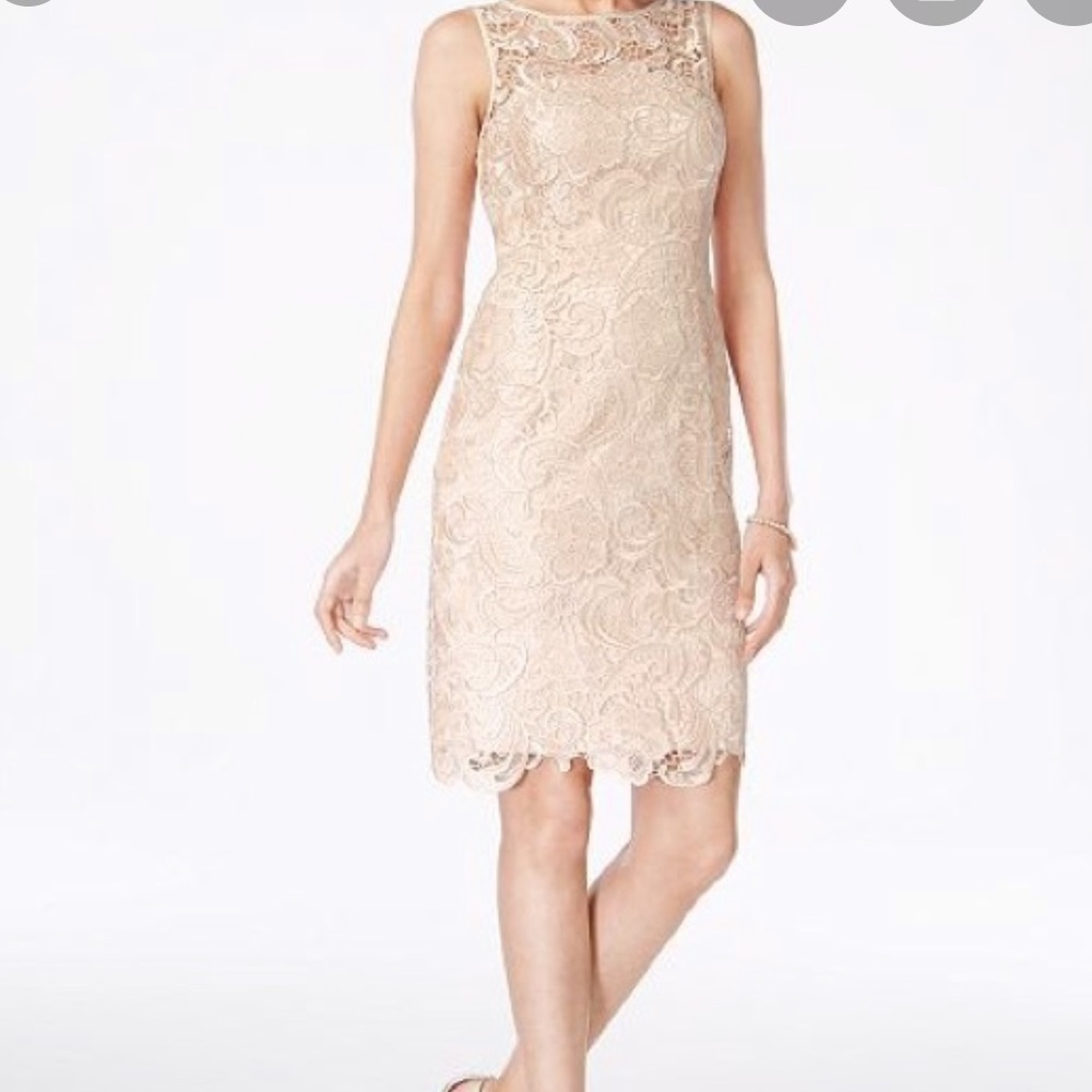 Cache’ lace dress